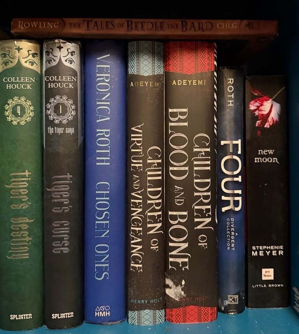 YA Fantasy and Romance Young Adult Hardcover and Paperback Book Lot